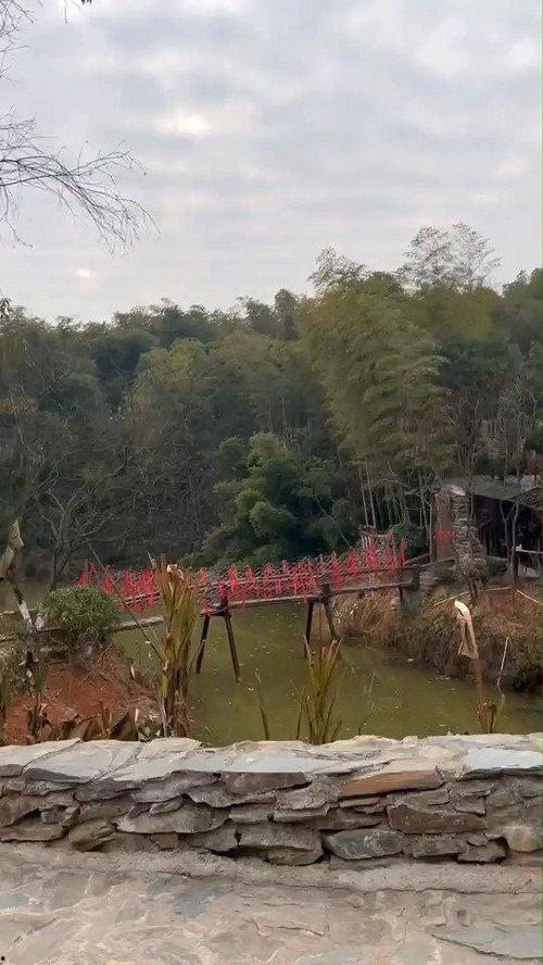 花溪新闻爆料网最新,揭秘最新热点事件，追踪社会动态  第1张