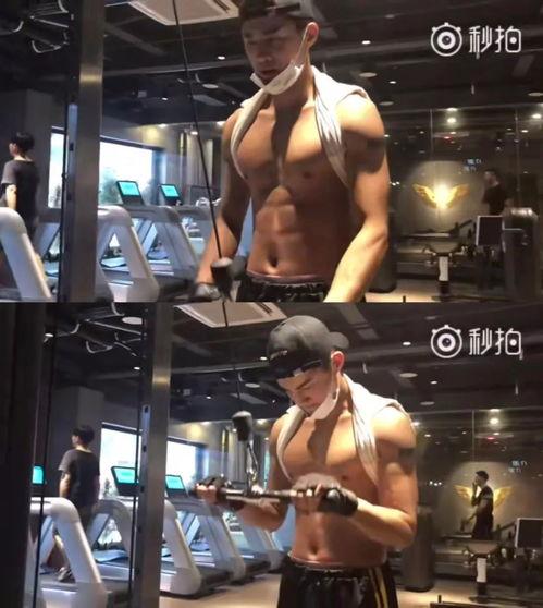 独家爆料健身视频完整版,健身达人完整版视频教程，助你高效塑形！  第1张